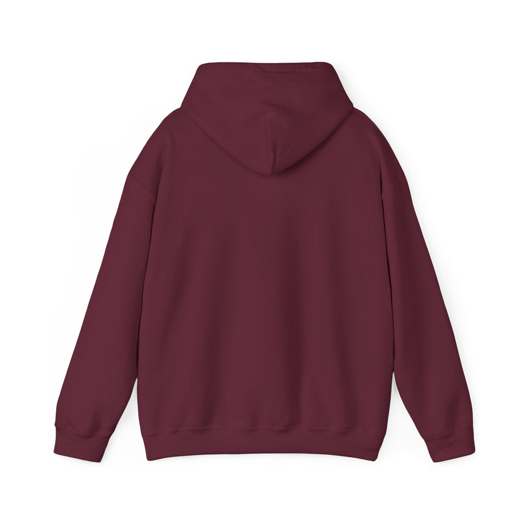 Hoodie "Need Money for Porsche"