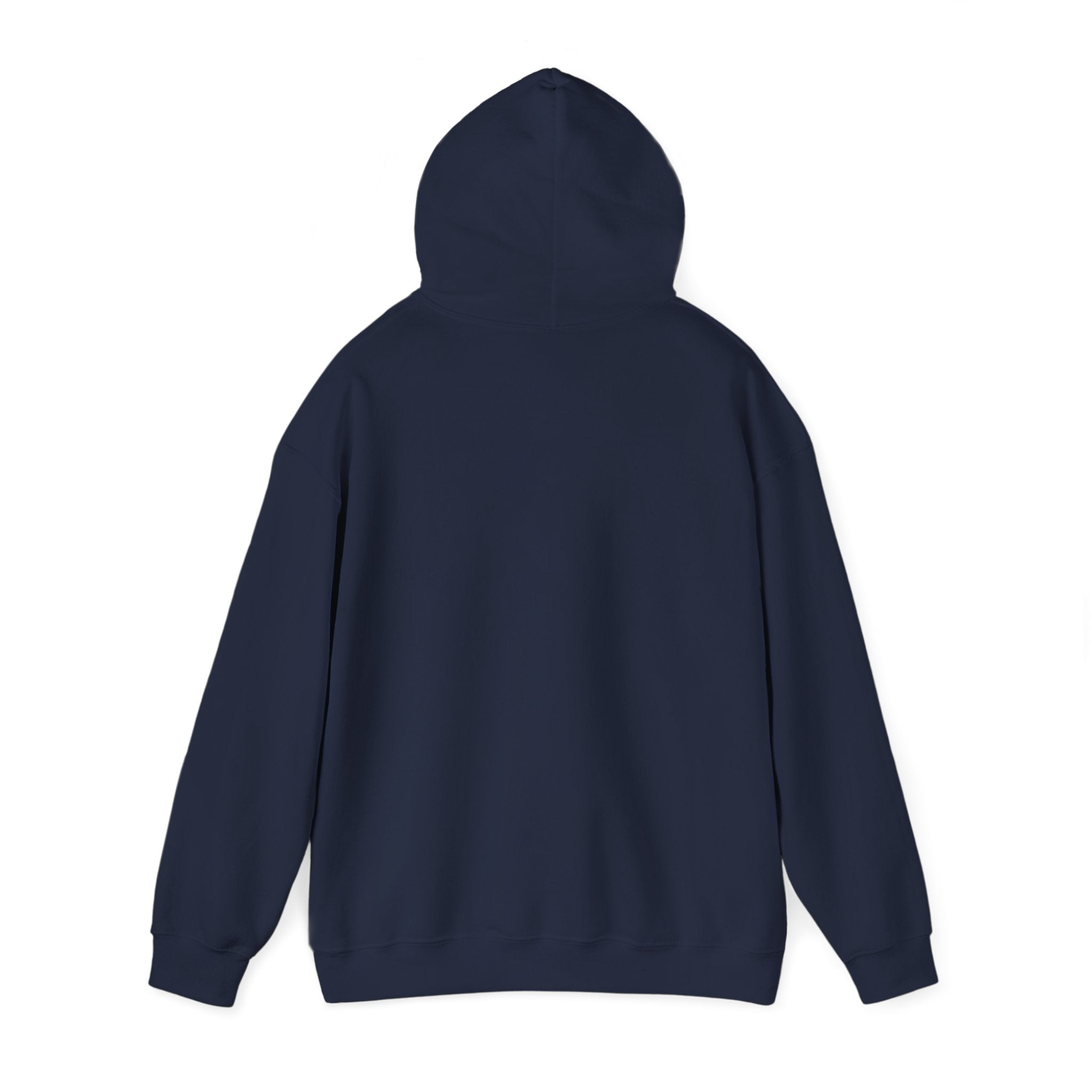 Hoodie "Need Money for Porsche"