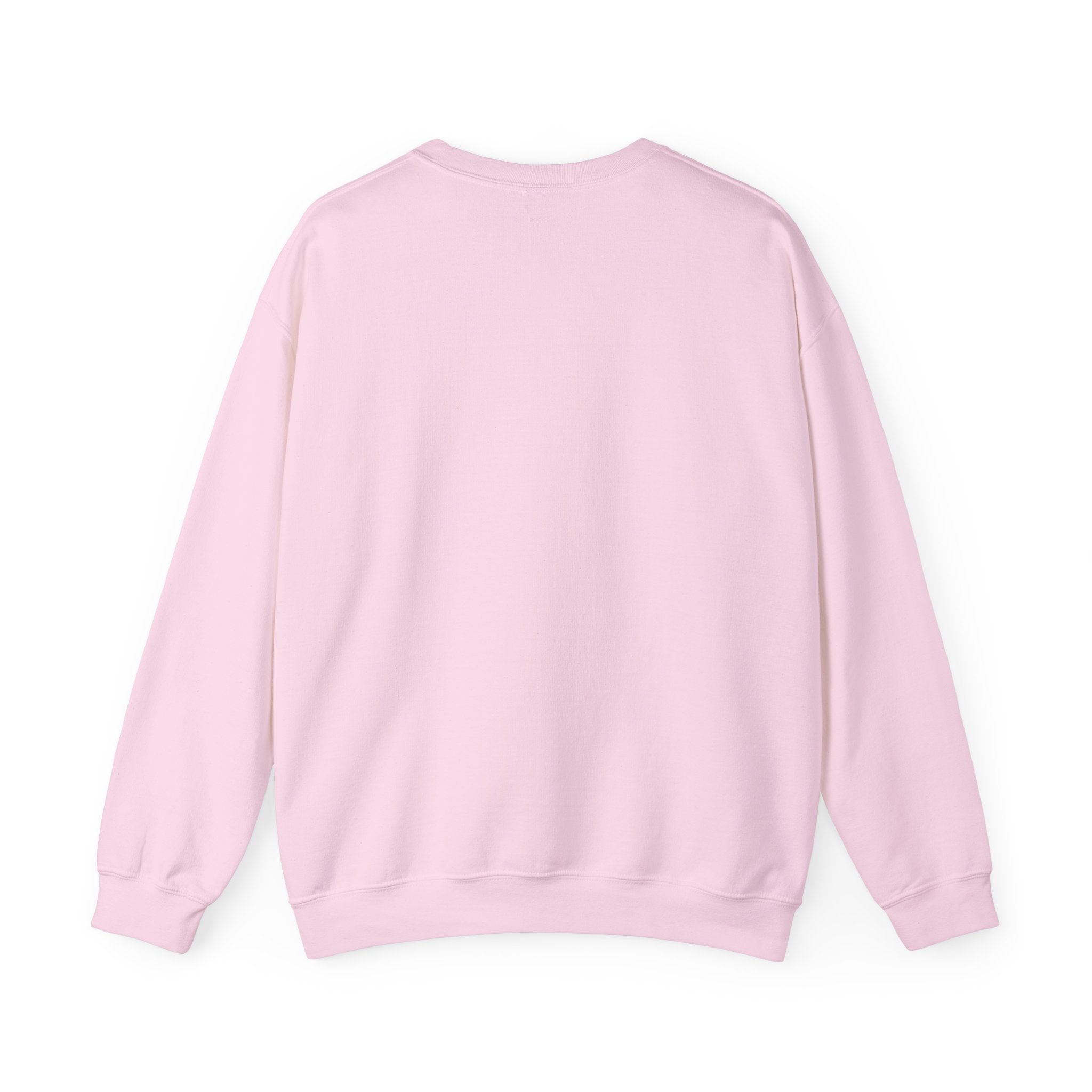 Sweatshirt "seen"