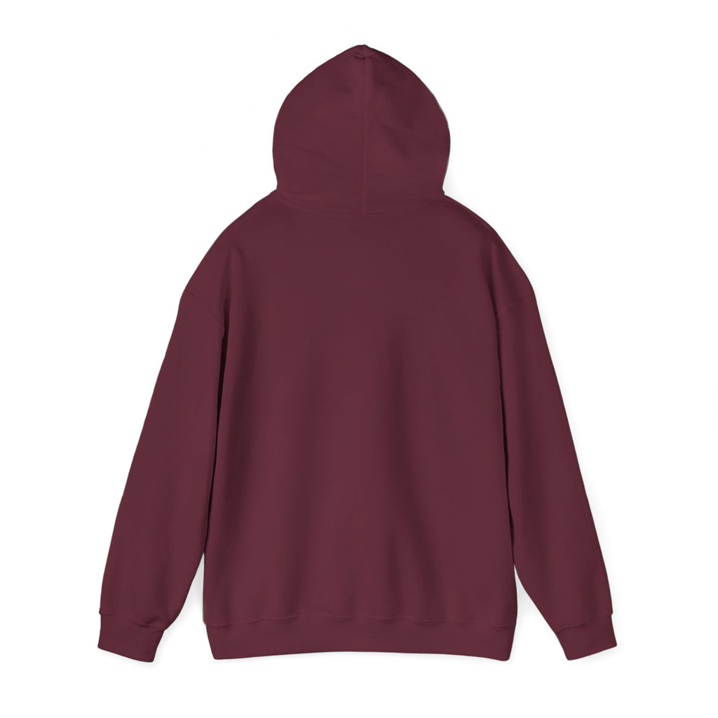 Hoodie "Need Money for Porsche"
